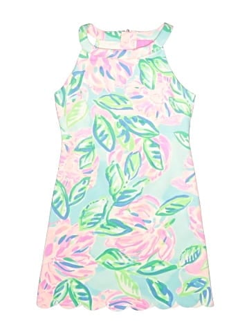 Lilly Pulitzer Dress (view 1)