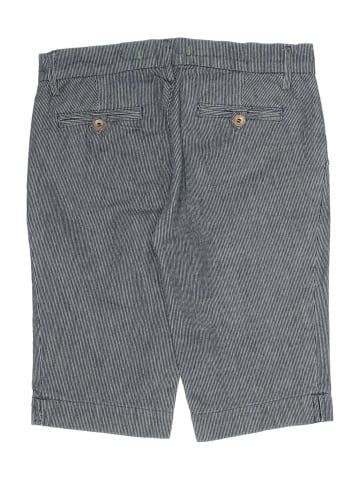 J Brand Shorts (view 2)