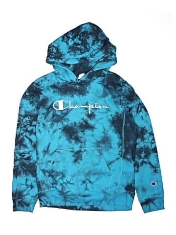 Champion Pullover Hoodie (view 1)