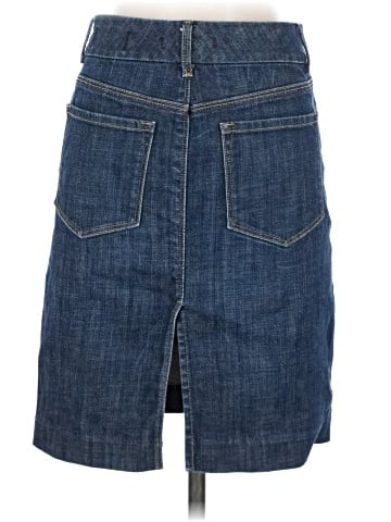 Limited Edition Denim Skirt (view 2)