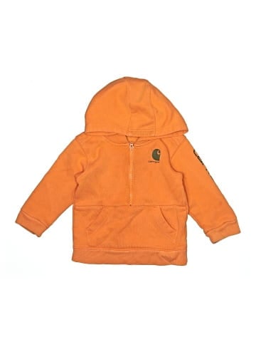 Carhartt Zip Up Hoodie (view 1)