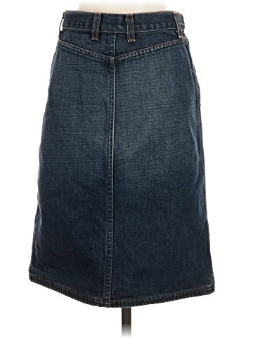 Express Denim Skirt (view 2)