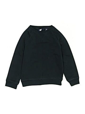 Lands' End Sweatshirt (view 1)