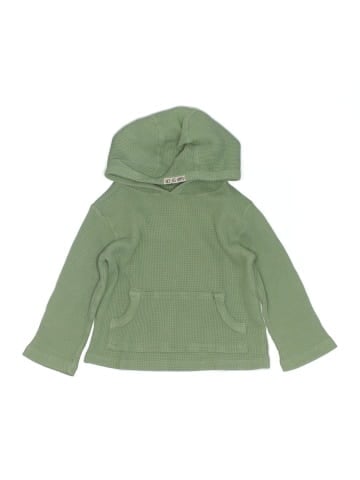 Baby Gap Zip Up Hoodie (view 1)