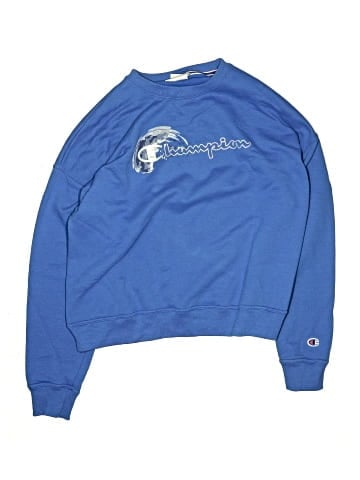 Champion Sweatshirt (view 1)