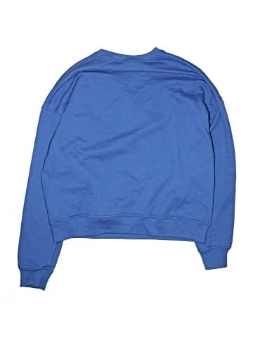 Champion Sweatshirt (view 2)