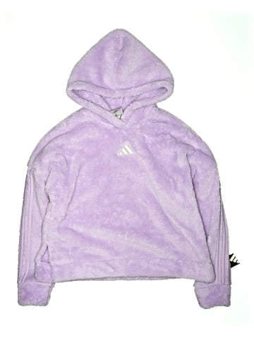 Adidas Pullover Hoodie (view 1)