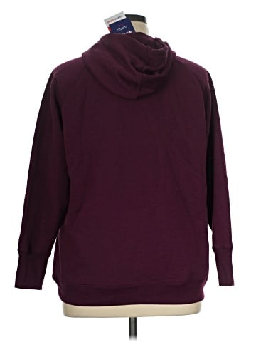Champion Pullover Hoodie (view 2)