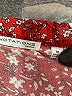 Notations Red Short Sleeve Blouse Size 1X - photo 7