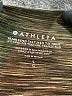 Athleta Green Active Pants Size L - photo 7