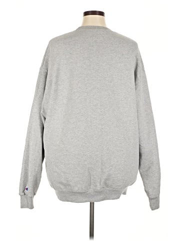Champion Sweatshirt (view 2)