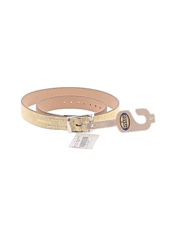 Fossil Belt (view 1)
