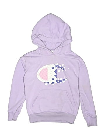 Champion Pullover Hoodie (view 1)