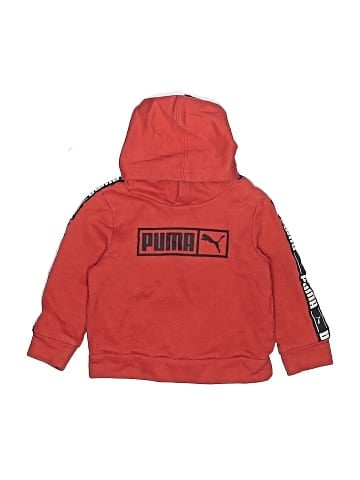 Puma Pullover Hoodie (view 1)