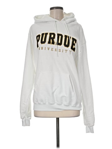 Champion Pullover Hoodie (view 1)
