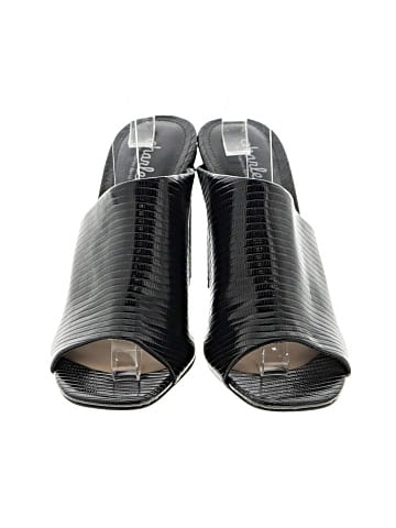 Charles by Charles David Heels (view 2)