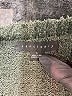 Sanctuary 100% Polyester Green Pullover Sweater Size L - photo 7