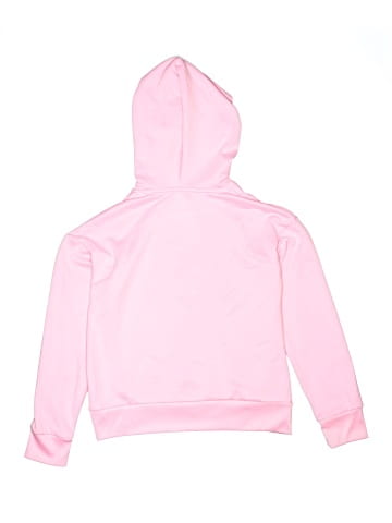 Champion Pullover Hoodie (view 2)