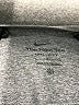 Nike 100% Polyester Gray Active T-Shirt Size L - photo 7