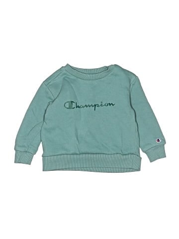 Champion Sweatshirt (view 1)