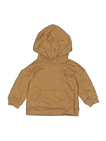 Carter's Pullover Hoodie (view 1)
