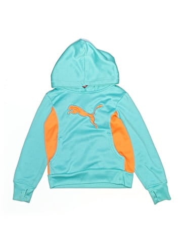 Puma Pullover Hoodie (view 1)