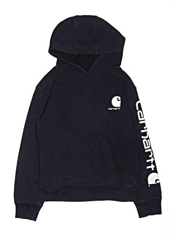 Carhartt Pullover Hoodie (view 1)