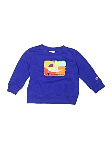 Champion Sweatshirt (view 1)