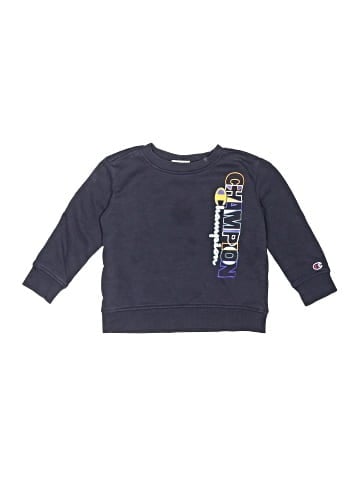 Champion Sweatshirt (view 1)