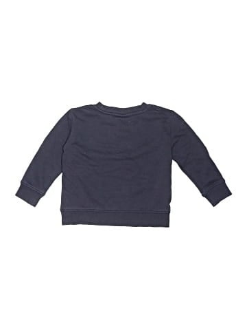 Champion Sweatshirt (view 2)