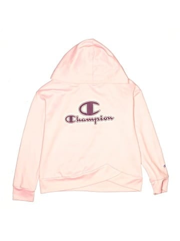 Champion Pullover Hoodie (view 1)