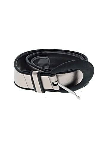 Carlisle Belt (view 1)