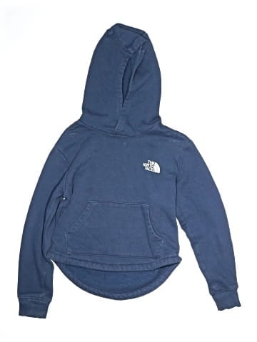 The North Face Pullover Hoodie (view 1)