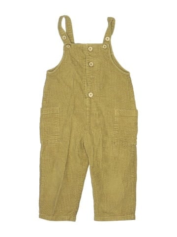 Zara Overalls (view 1)