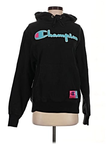 Champion Pullover Hoodie (view 1)