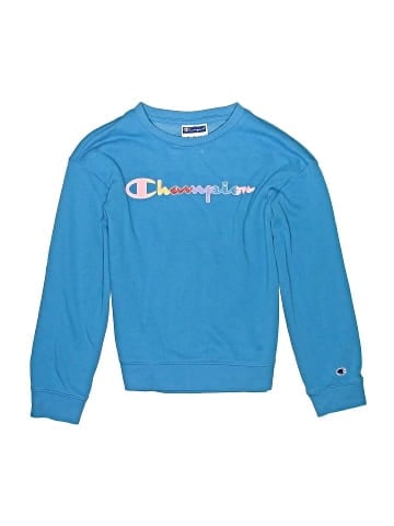 Champion Sweatshirt (view 1)