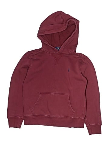 Polo by Ralph Lauren Pullover Hoodie (view 1)