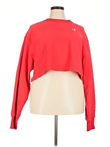 Champion Sweatshirt (view 1)