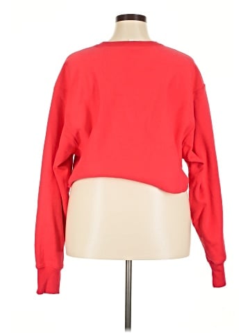Champion Sweatshirt (view 2)