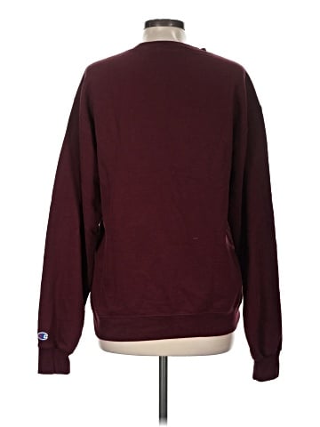 Champion Sweatshirt (view 2)