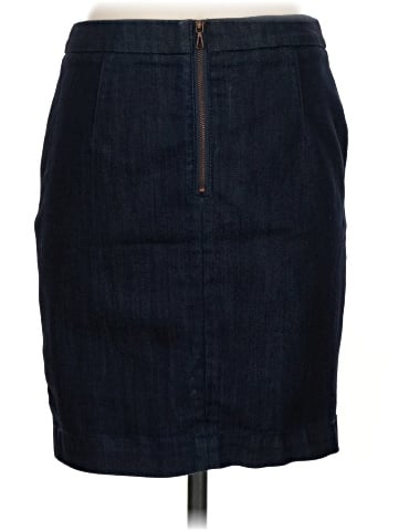 Leifsdottir Denim Skirt (view 2)