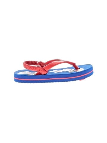 Paw Patrol Flip Flops (view 1)