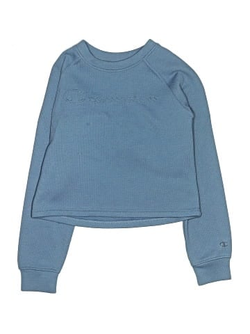 Champion Sweatshirt (view 1)
