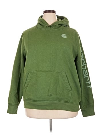 Carhartt Pullover Hoodie (view 1)