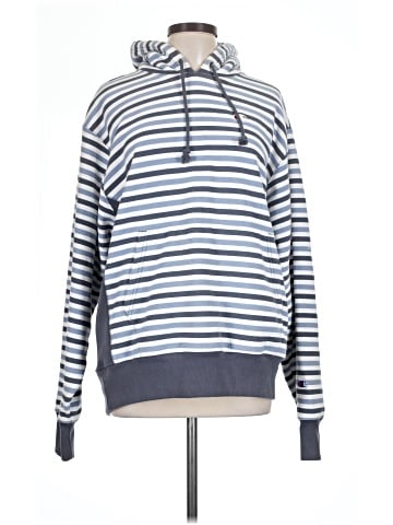 Champion Pullover Hoodie (view 1)