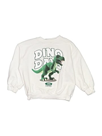 Zara Sweatshirt (view 1)