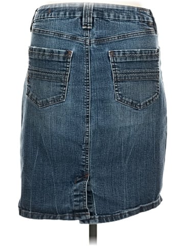 Jag Denim Skirt (view 2)