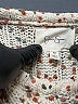 Jessica Simpson Tweed Ivory Pullover Sweater Size M - photo 7