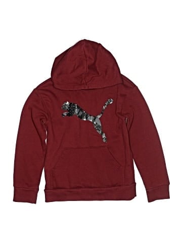 Puma Pullover Hoodie (view 1)