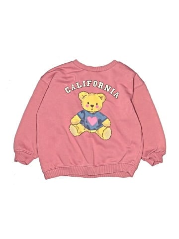 Zara Sweatshirt (view 1)